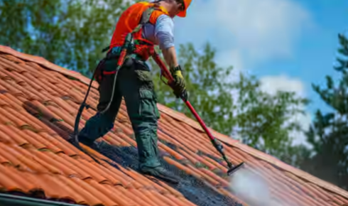 roof cleaning